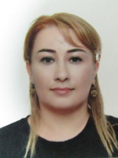 Педагогический работник Мехтиева Наиля Агабековна.